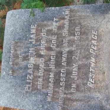 COLBERT Elizabeth Jane -1950