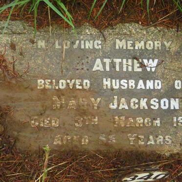JACKSON Matthew -1917