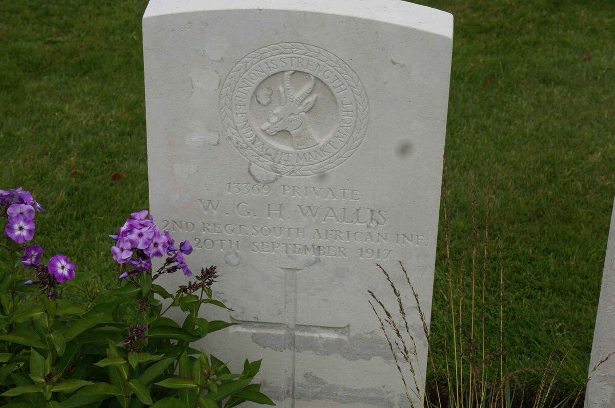 WALLIS W.G.H. -1917