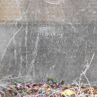 BRAID S.E. :: O'CONNOR