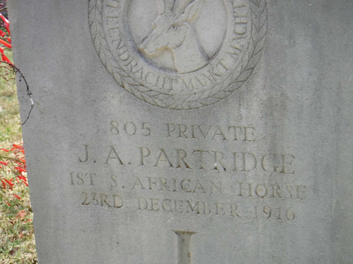 PARTRIDGE J.A. -1916